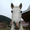 lenischultheiss2