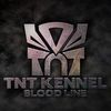 tntkennel