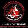 muhammadnazeerali6