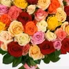 glak_of