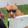 brunosworld2