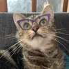 catladycrazy78