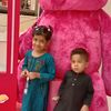 hashimhussain817