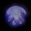 greyskybluemoon