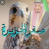 صقر الجزيرة 🦅