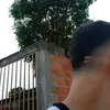 tremrarolv2