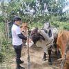 cristhianvargas164