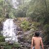 royandisini_