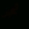 nose26374