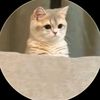 jono.istiady