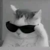 ianhieuvailon23