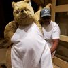 tonyslaughter1