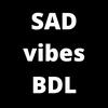 Vibes BDL