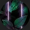 kry0zzz