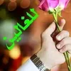 user6233128912358