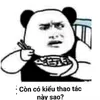pandorapani