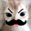 ineedabetternamelol