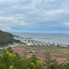 tieuquy866