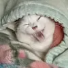 ninanism