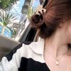 raniya_rajput3