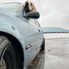 sedan_brett