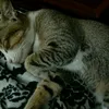 khanh.nguyn.nht2