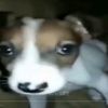kevin_18_2006
