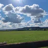 schabo.szczak