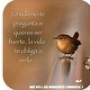 janethramos391