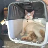 maranaocatlover41222
