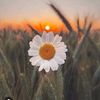 asyaa_nur_