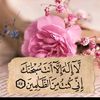user66823631063