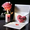 nawadi187_f5
