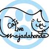 catslive.majadahonda