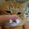 the_nekomancer