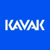 Kavak Brasil