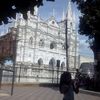 reinaherrera6