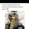 juanmedina3660