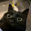 oyoyoy008