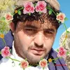 user7056882392806