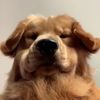 jjocho_ss