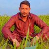 muhammadtariq5231