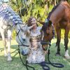 terrilee_equestrian