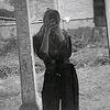 corn_thv