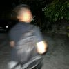 wrdanto_