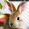 eric_raul