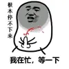 metrumsetchina