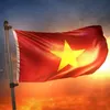 sonngoc113