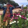 earth_inaek