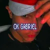 ok.gabriel15